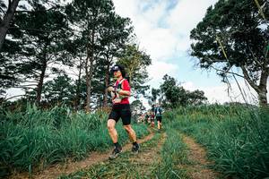 BIB: 
                            <button type="button" onclick="openModal(26037419)" class="btn btn-primary btn-sm float-right btn-popup" data-toggle="modal" data-target=".modal-high-quality">
                        <i class="fas fa-shopping-cart"></i> Add to Cart
                    </button>
                                            <button type="button" onclick="isThisMe(26037419, true)" class="btn btn-success btn-sm float-right btn-popup btn-isme hidden" data-toggle="tooltip" data-placement="bottom" title="นี่คือรูปของคุณใช่ไหม คลิกที่นี่เพื่อเอาเข้าอัลบั้ม">
                        <i class="fas fa-plus"></i> Add to album
                    </button>
                    <button type="button" onclick="isThisMe(26037419, false)" class="btn btn-warning btn-sm float-right btn-popup btn-isnotme hidden">
                        <i class="fas fa-ban"></i> Remove from album
                    </button>